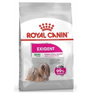 Royal Canin Mini Exigent 3 kg Köpek Maması kullananlar yorumlar